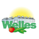 WellesBV pour Google Chrome