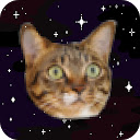 Space Cat Wallpaper HD Personnalisé Nouvel onglet pour Google Chrome