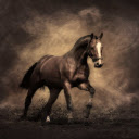 Horse Wallpaper New Tab Theme pour Google Chrome