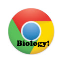 CHS Biology Semester Final pour Google Chrome