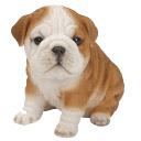 Dogs and Puppies HD Wallpapers  New Tab Theme pour Google Chrome