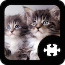 Cats & Kittens Puzzle pour Google Chrome